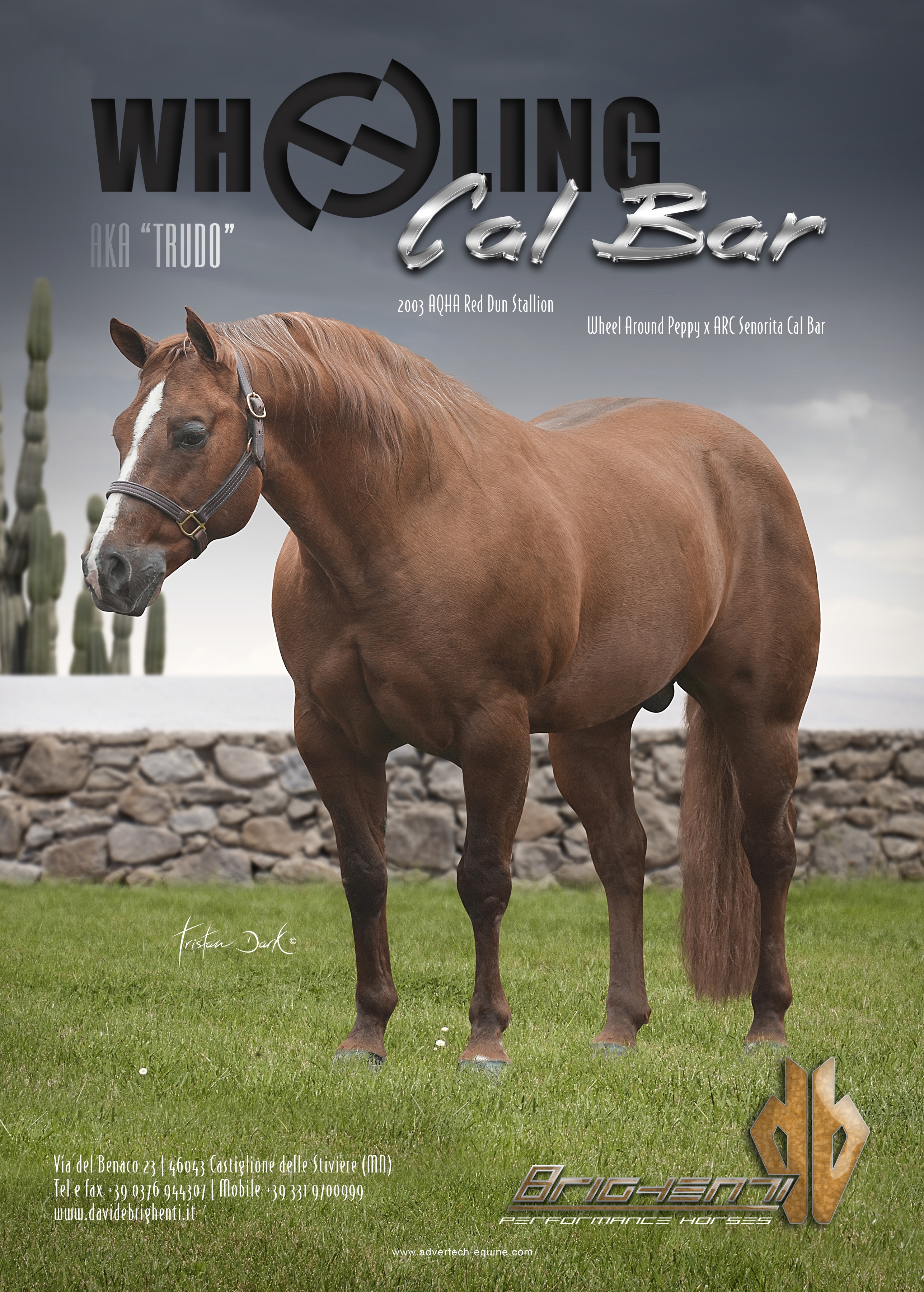 Catalogo Stalloni Wheeling Cal Bar — IRHBA