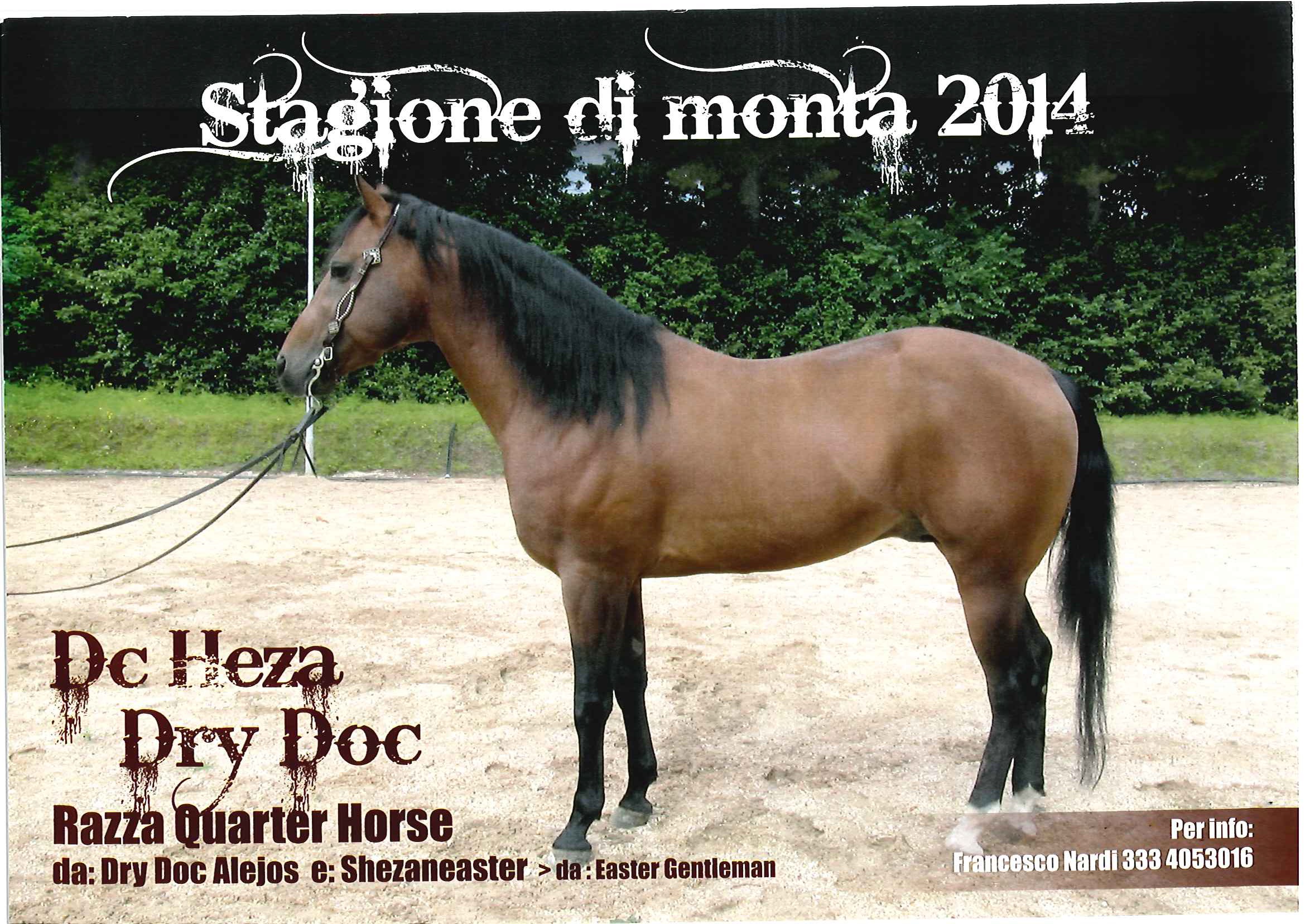 DC HEZA DRY DOC