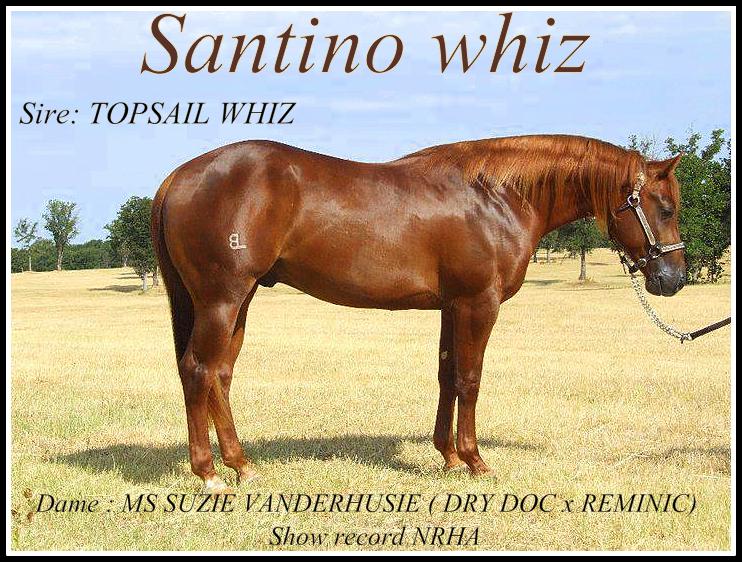 Santino Whiz