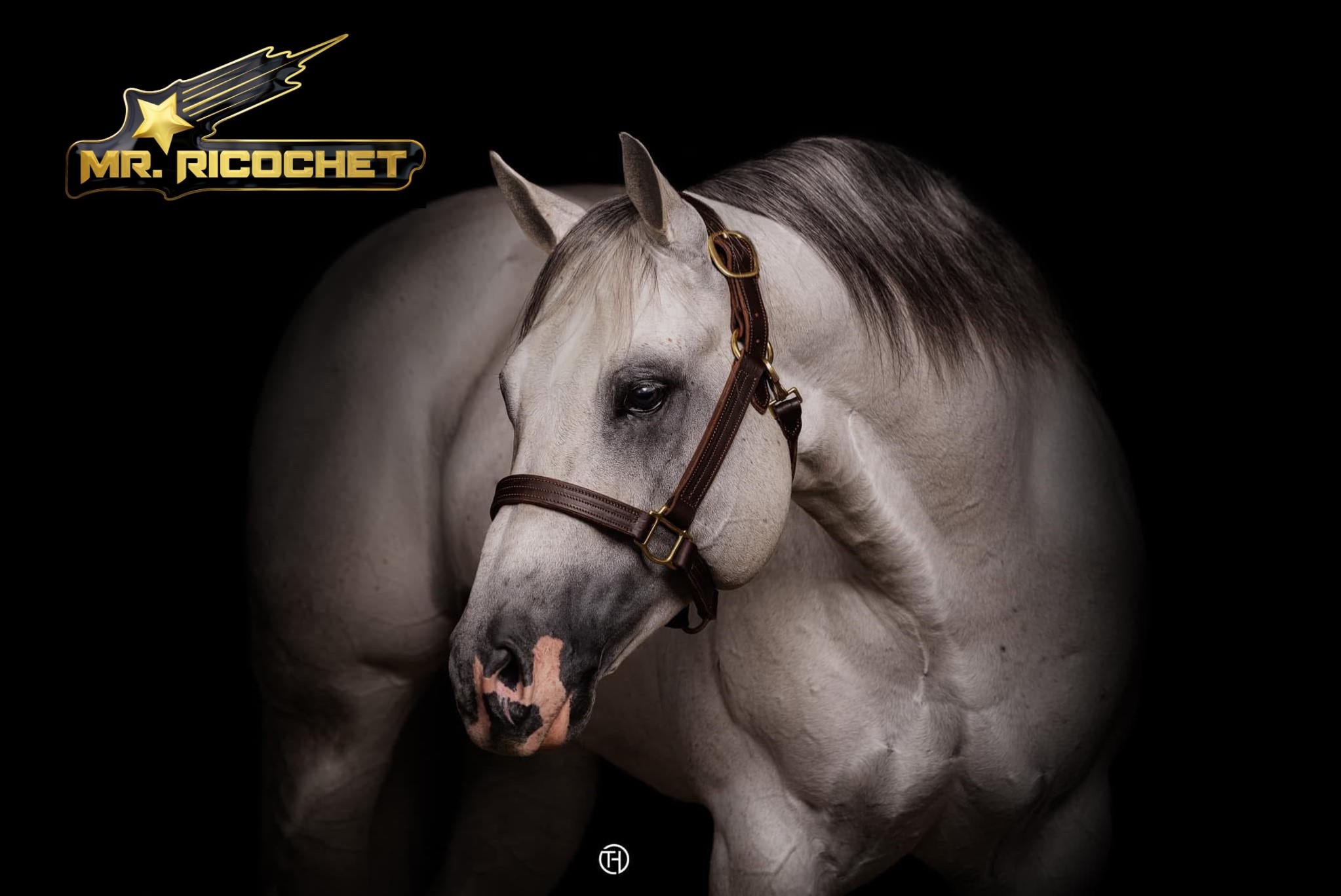 MR. RICOCHET
